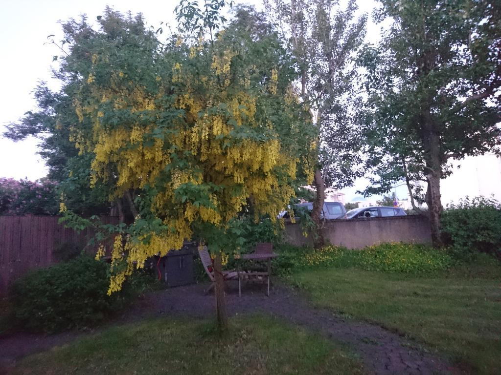 Alba Guesthouse Reykjavik Bagian luar foto