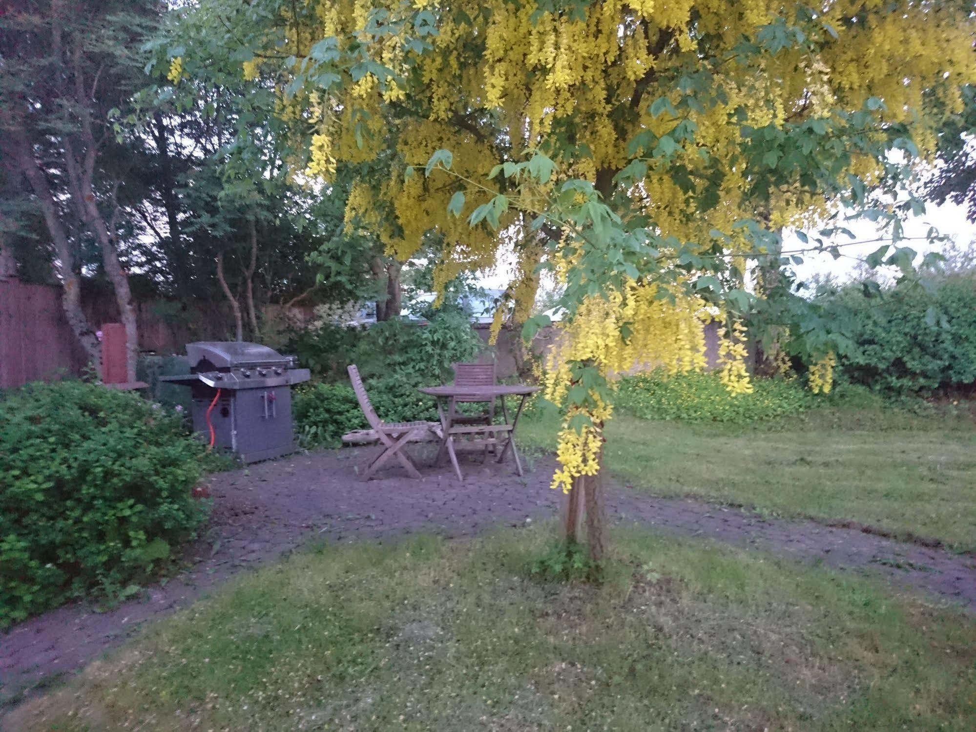 Alba Guesthouse Reykjavik Bagian luar foto